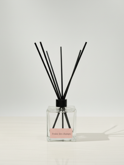 DIFFUSEUR - FRAISE DES CHAMPS