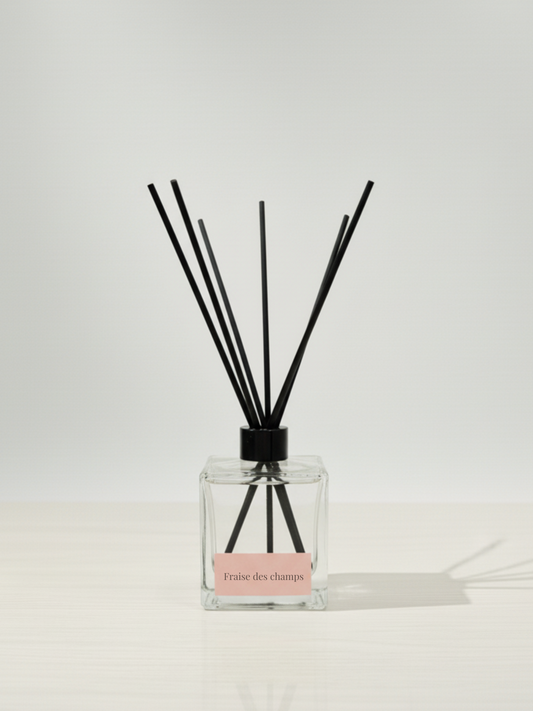 DIFFUSEUR - FRAISE DES CHAMPS